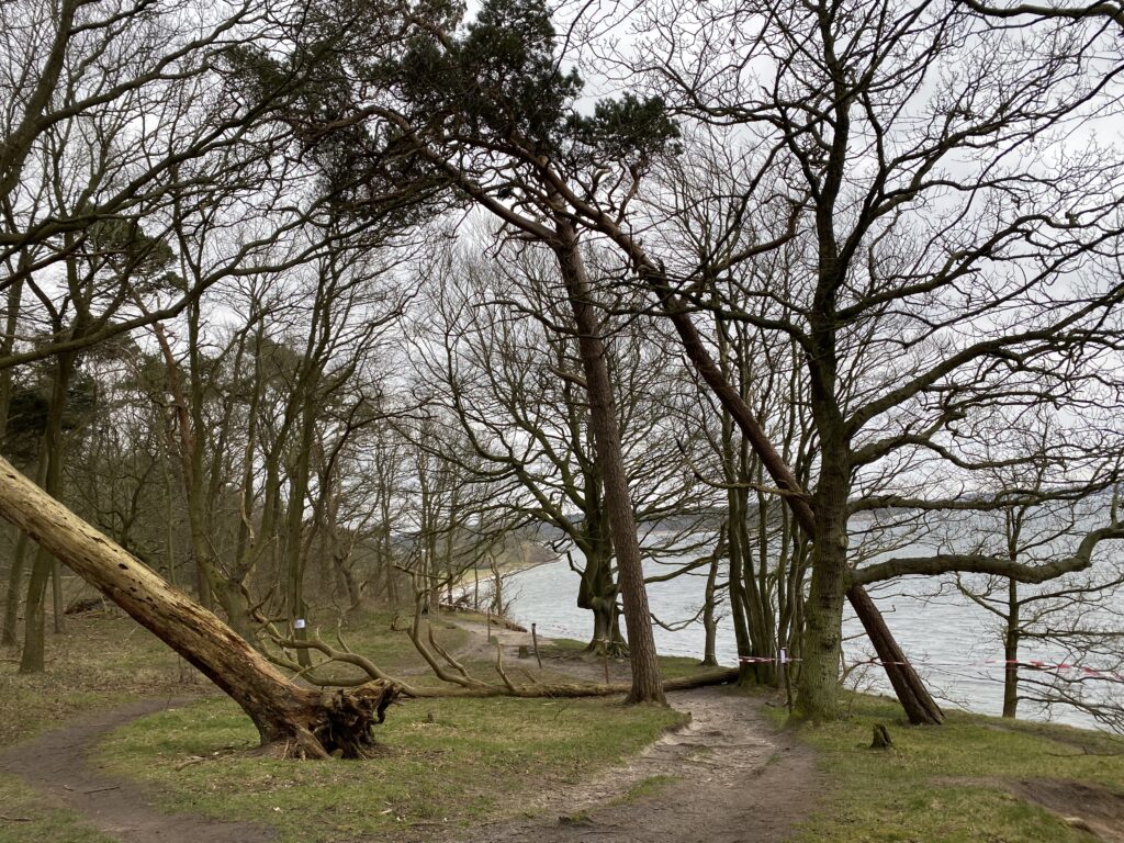 Kattegat ruten