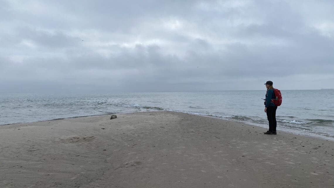 Rundt om Grenen – Skagen