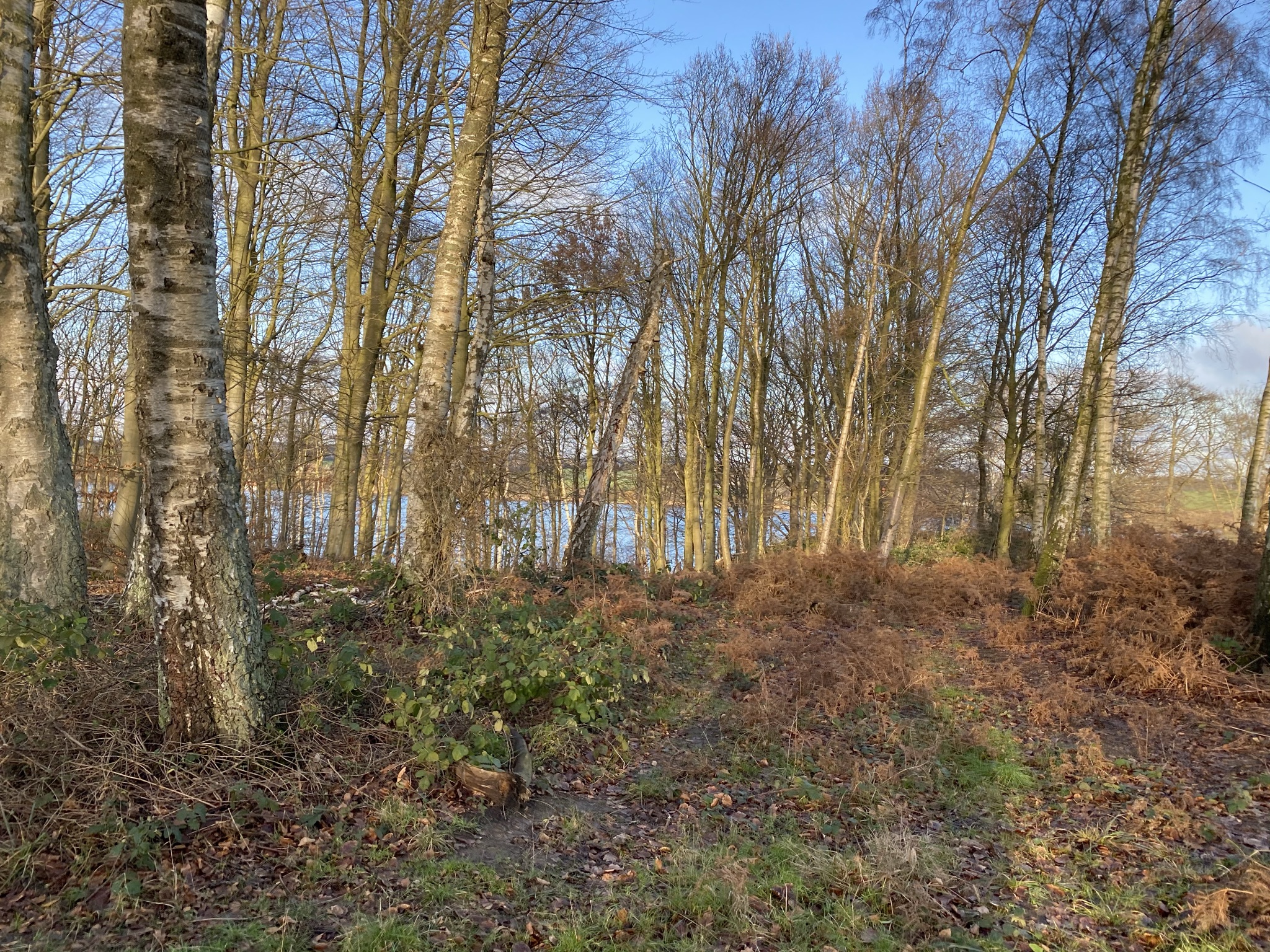 Thurø rundt – 20 km – Danish Hikings