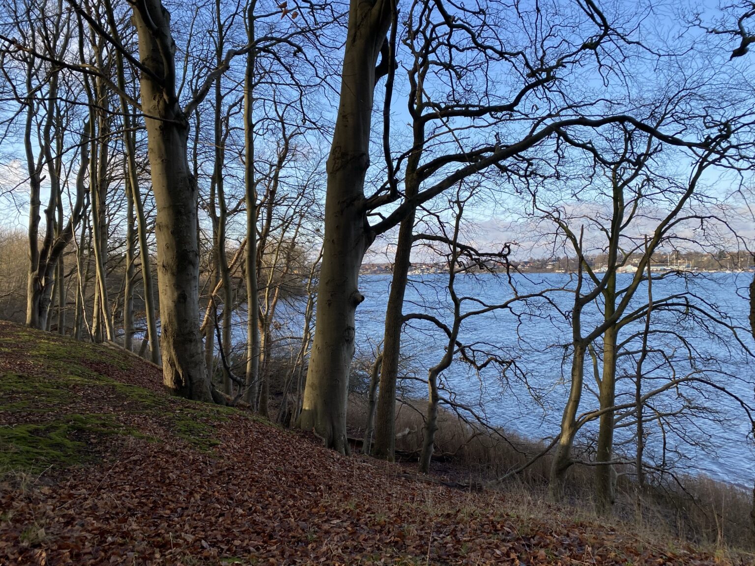 Thurø rundt – 20 km – Danish Hikings