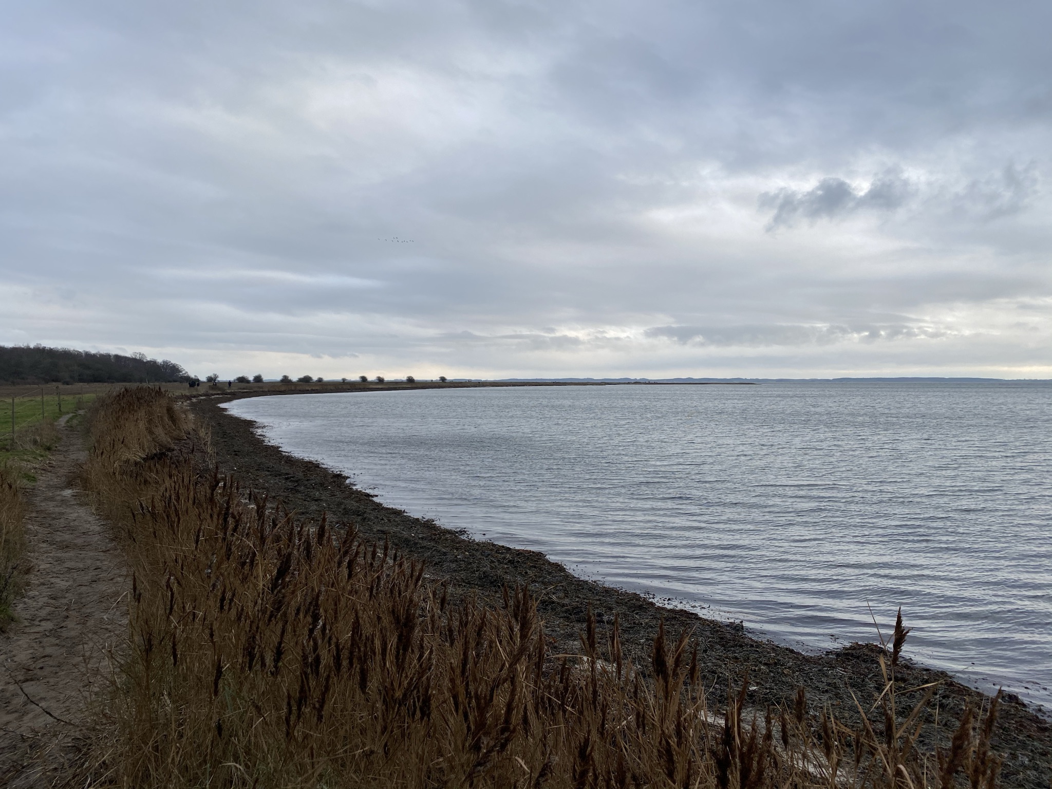 Thurø rundt – 20 km – Danish Hikings