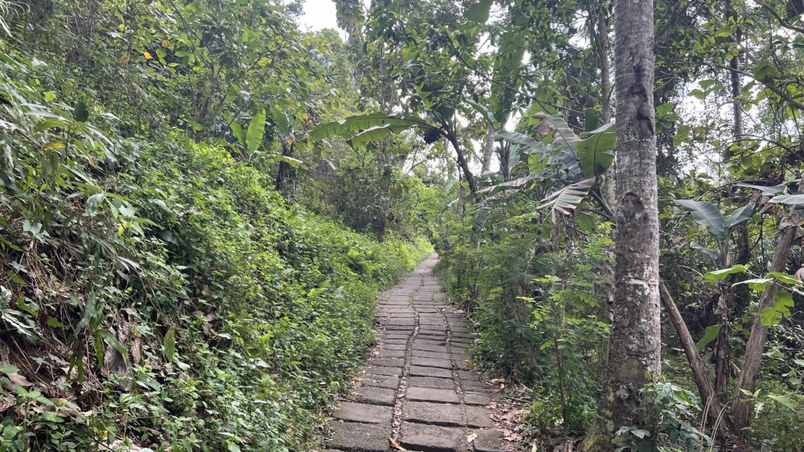 Campuhan Ridge (Ubud, Bali). 9 km.