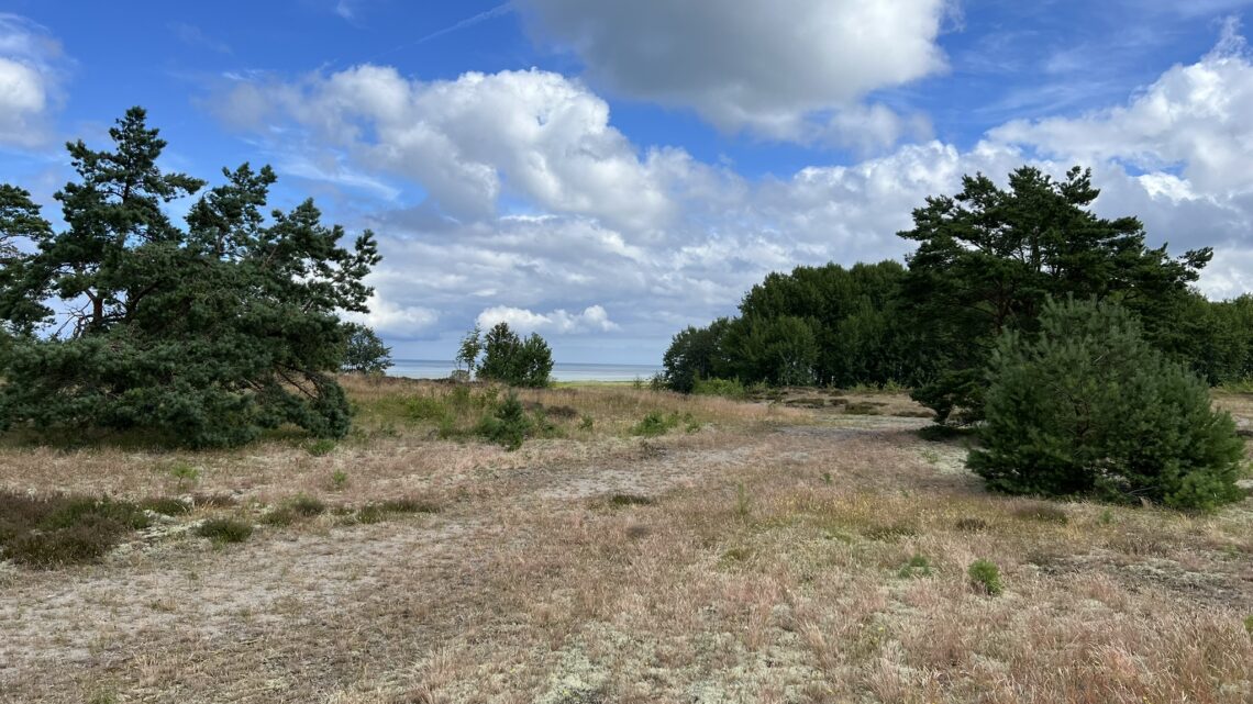 Læsø: Vesterø – Holtemmen. 10 km.