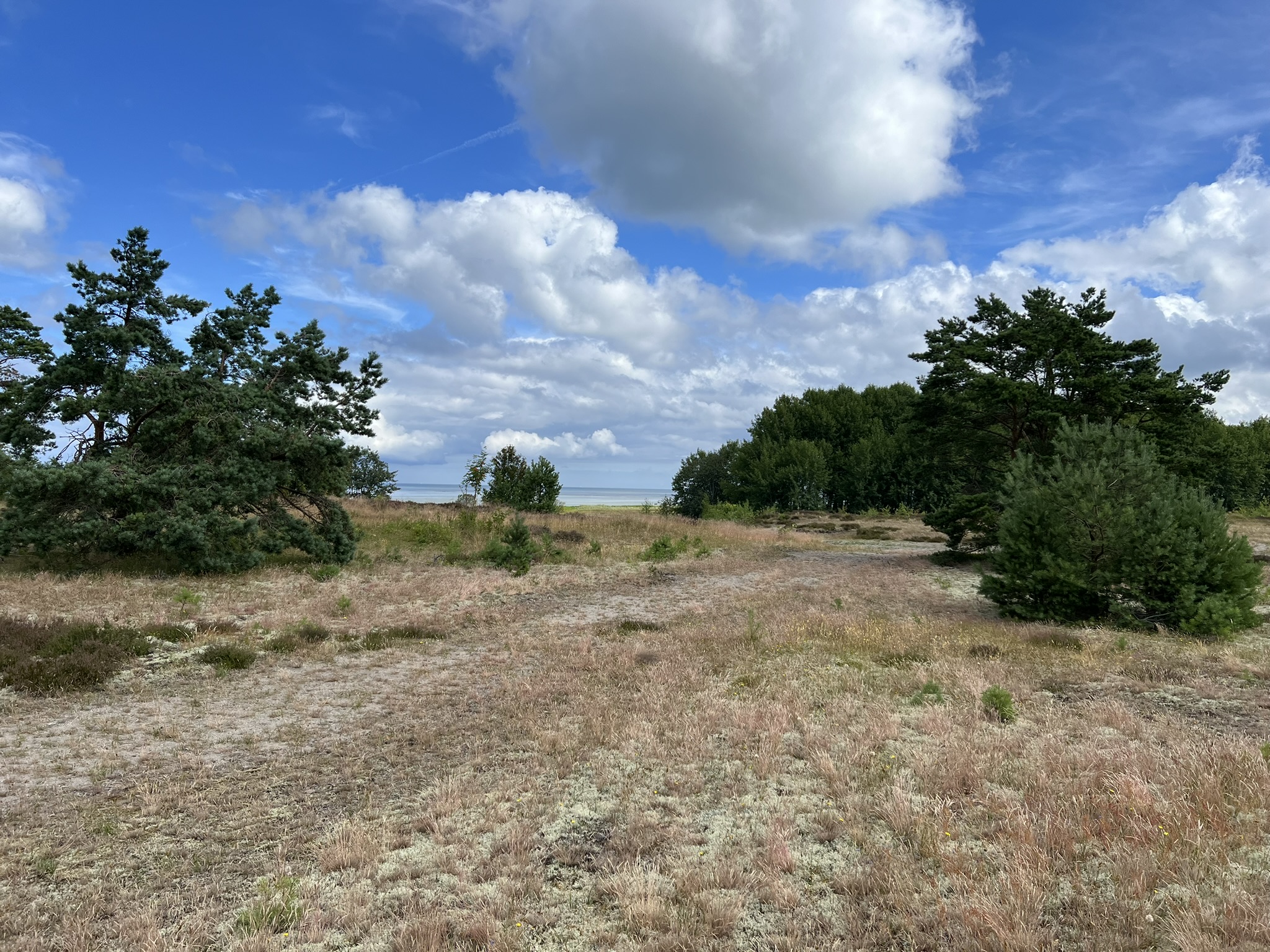 Læsø: Vesterø – Holtemmen. 10 km.