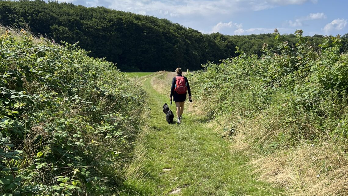 Trente Mølle, Faaborg. 11 km