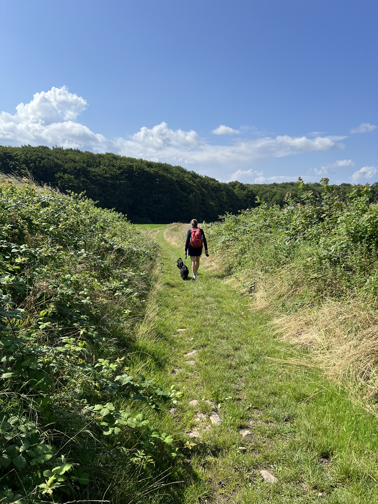 Trente Mølle, Faaborg. 11 km