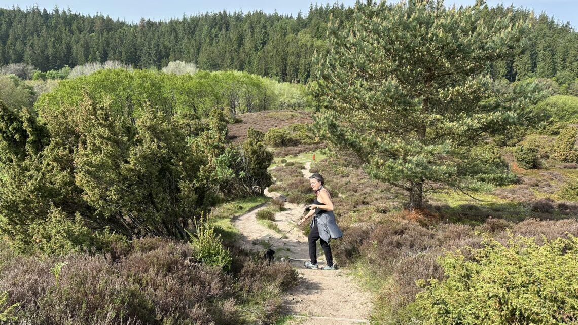 Rebild Bakker og Gravlev Ådal – 11 km.