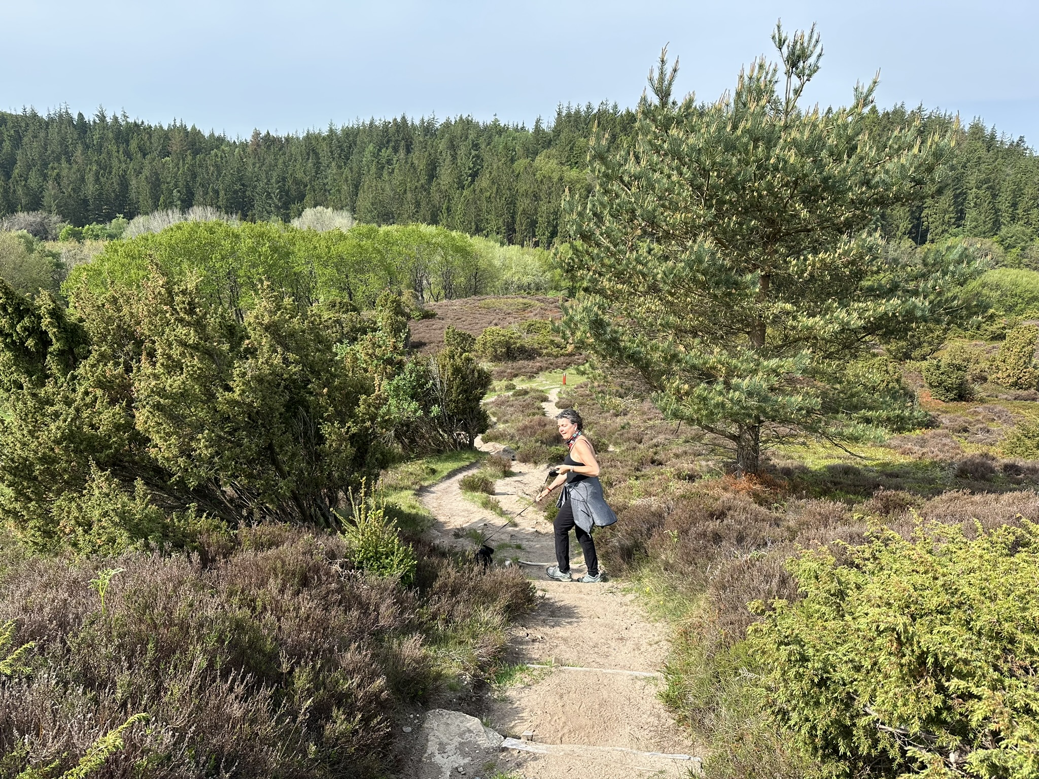 Rebild Bakker og Gravlev Ådal – 11 km.